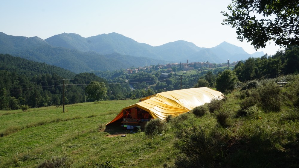 menjador campaments d'estiu